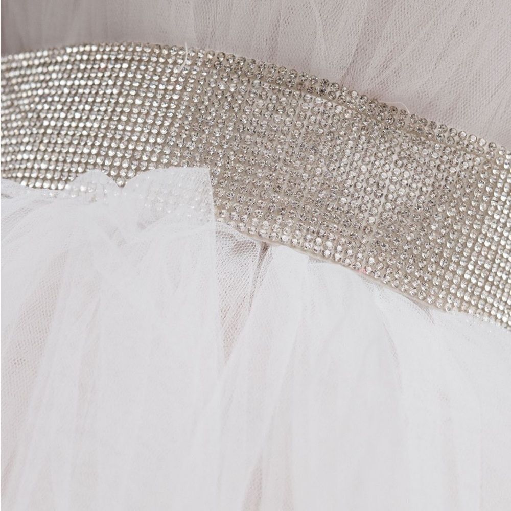 Bronx and Branco Tulle Mini Dress - Picture 5 of 5